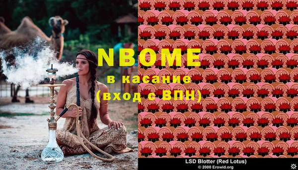 амф Алзамай