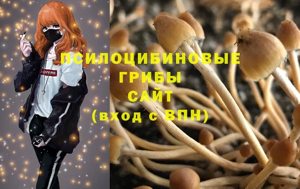 амф Алзамай