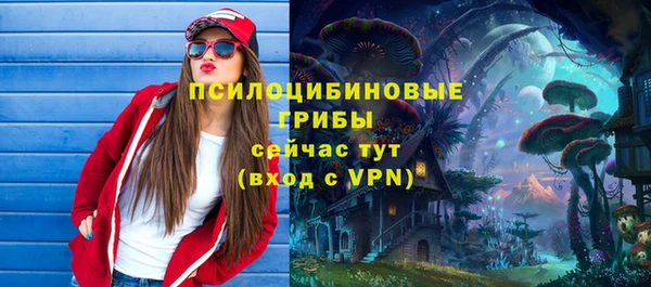 крисы Абинск