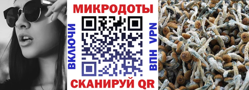 Галлюциногенные грибы GOLDEN TEACHER  как найти наркотики  даркнет какой сайт  Щёкино 