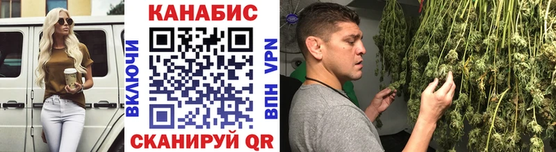 mega вход  Щёкино  Бошки марихуана семена 